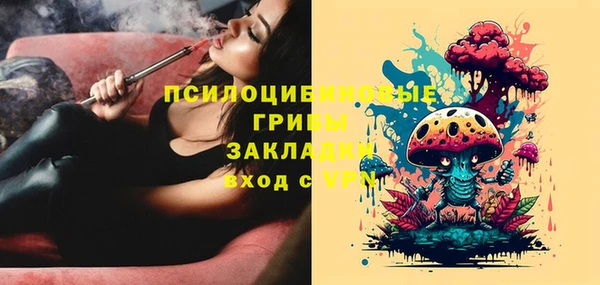 тгк Гусь-Хрустальный