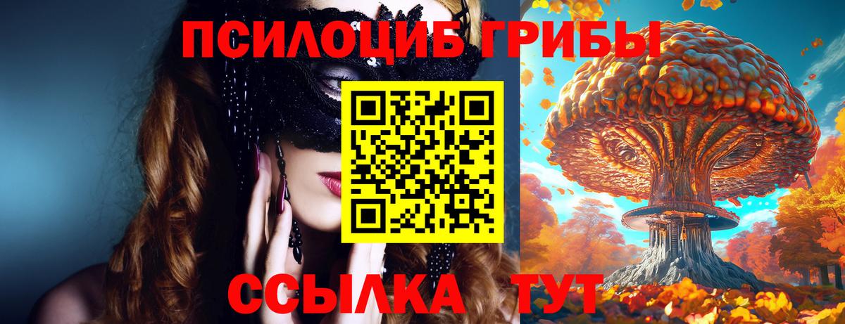Кохма  Псилоцибиновые грибы Psilocybine cubensis  Вход с VPN 