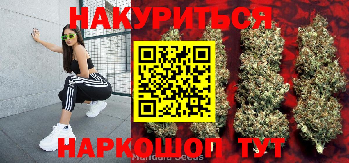 Бошки марихуана конопля Кохма